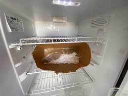 deodorize your rv fridge