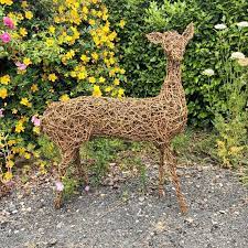 Willow Deer Doe Fawn Or Stag Outdoor