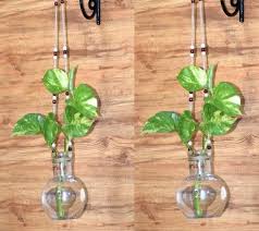 Glass Vase Set Of 2 Wall Hanging Flower