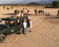 Image of Ker & Downey Safaris Dubai Package