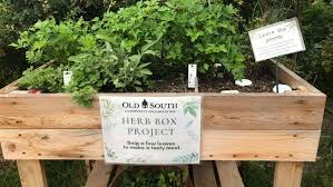 Herb Boxes Take Root In Old South With
