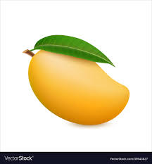 yellow mango realistic 3d royalty free