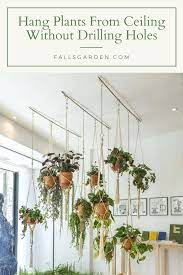 how to hang plants from ceiling without