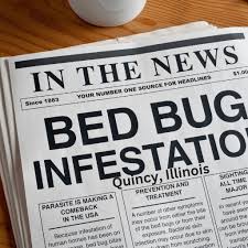 bed bug exterminator quincy il the
