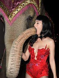 PsBattle: Katy Perry and an elephant : r/photoshopbattles