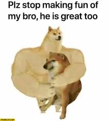 If you have a confirmed case of internet brain you already know about doge memes. Please Stop Making Fun Of My Bro He Is Great Doge Meme Starecat Com