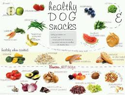 Dog Safe Foods Healthy Puppy Snacks Dog Snacks Homemade