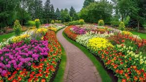 flower garden background image
