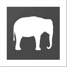 Asian Elephant Silhouette White