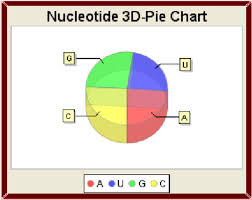 4 Rna Nucleotide Percentage Pie Chart Download Scientific