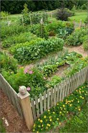 Vegetable Garden Ideas The Well