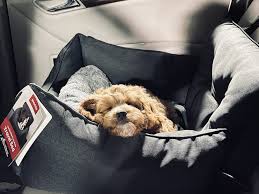 Luxury Pet Booster Car Seat Travel Bed