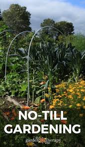 No Till Gardening Create A No Till