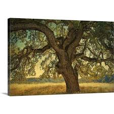 William Guion Canvas Wall Art
