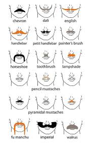 Types Of Mustaches Mustache Styles Movember Mustache