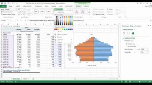 How To Make A Population Pyramid Chart In Excel Youtube