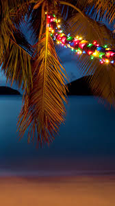christmas lights on palm trees at a