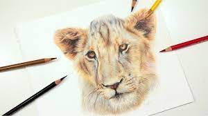colored pencil drawing tutorial