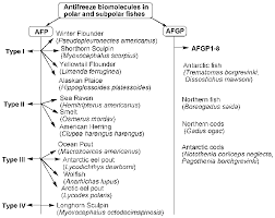 Flow Chart Showing The Classification Of Antifreeze