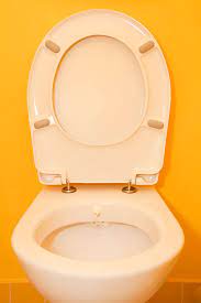 Toilet Seat Dermatitis