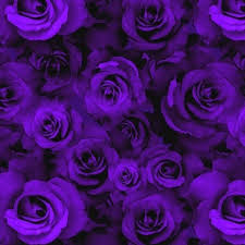 purple rose fabric wallpaper and home