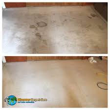 discover carpet care carpet cleaning