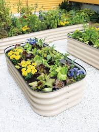 Self Watering Metal Raised Bed 2 X4