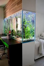 73 original aquariums in home interiors