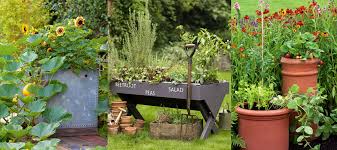 Vegetable Garden Container Ideas For