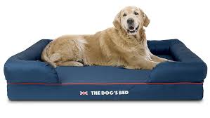 best orthopaedic dog beds to provide