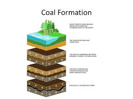 Coal Formation Ppt Video Online Download