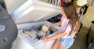 Best small upright freezer reviews. Upright Vs Chest Freezers Which One Should You Buy Hip2save
