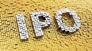 Ujjivan Small Finance Bank IPO subscribed over 165 times | Mint