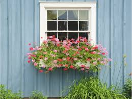 4.7 out of 5 stars. 5 Easy Steps To Hang Window Boxes