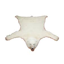 bonhams a polar bear skin rug
