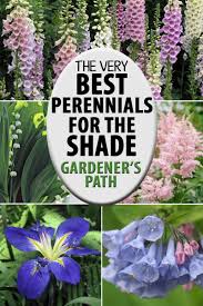When assessing your yard for how much shade an area gets, take into consideration any trees that currently do not have any leaves on do you have any annual shade flowers you'd add to this list? The Best Flowering Perennials For The Shade Gardener S Path