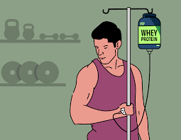is whey protein a steroid the whole