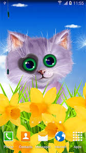 spring cat live wallpaper for android