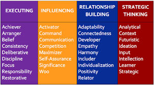 Strengthsfinder 4 Domains Executing Influencing Relationship