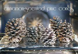 Cinnamon Scented Pine Cones 101 Days