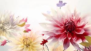 flower background photos and
