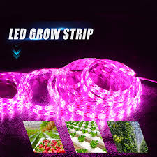 Led Grow Light Full Spectrum 5v Usb Grow Light Strip 2835 Led Phyto Lamps For Plants Greenhouse Hydroponic Growing 0 5m 1 Led Grow Lights Aliexpress