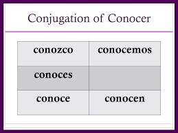In Your Notes What Are The Conjugations Of The Verbs