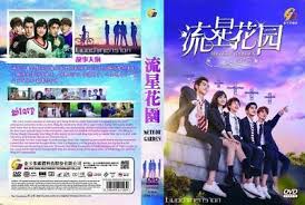 dvd chinese drama meteor garden 流星花