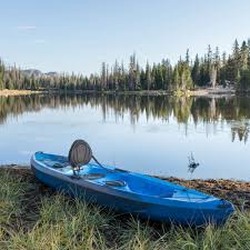 Maybe you would like to learn more about one of these? Lifetime Tamarack Angler 10 Ft Fishing Kayak Paddle Included 90905 Walmart Com Walmart Com