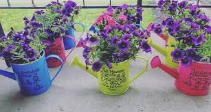 Gift Gifts For Mothers Day Watering Can