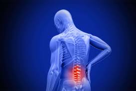 disc novus spine pain