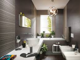 masculine bathroom design interior
