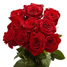 Flower wallpapers flower red rose. Amazon Com Globalrose 50 Red Roses Beautiful Flowers Express Delivery Grocery Gourmet Food