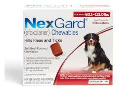 the 10 best flea and tick preventatives
